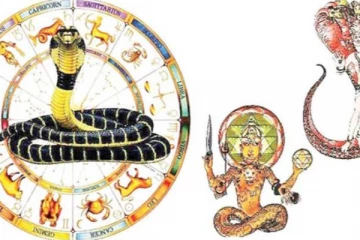 கால சர்ப்ப தோஷம் என்பது என்ன? இந்த பரிகாரங்களை செய்தால் பலன் கிடைக்கும்