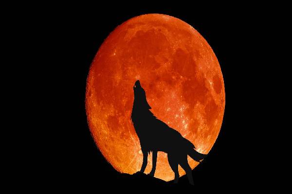 வானத்தில் மாபெரும் அதிசயம் ; வானத்தை அலங்கரிக்கும் சூப்பர் மூன் | A Great Miracle A Supermoon Adorning The Sky