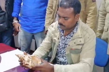 ஆறு கோடி ரூபாவிற்கு வலம்புரி சங்கை விற்பனை செய்ய முற்பட்ட இருவர் கைது (Video)