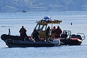 ஆற்றில் சடலமாக மீட்கப்பட்ட காணாமல் போன நபர்: கனேடிய பொலிஸார் உறுதிப்படுத்திய முக்கிய தகவல்!