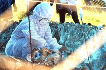 චීනයෙන් තවත් භයානක රෝගයක් මතුවෙයි..පළමු ආසාදිත රෝගියා හමුවෙයි.