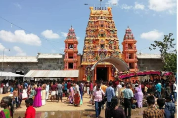 முல்லைத்தீவு வற்றாப்பளை கண்ணகி அம்மன் ஆலய வருடாந்த பொங்கல் திருவிழா