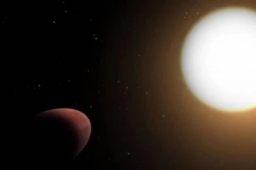 தக்காளி போன்ற உருவத்தில் கண்டறியப்பட்ட புதிய கிரகம்