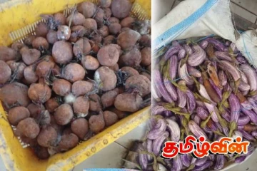 புதுக்குடியிருப்பில் ஆடை உற்பத்தி நிலையத்துக்கு அபராதம் விதிப்பு