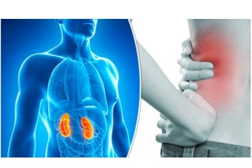 சிறுநீரகக் கல் உள்ளவர்கள் இந்த உணவுகளை சாப்பிடலாம்