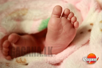 කුරුණෑගල බිලිඳිය ඉල්ලා ඇමතුම් 1000ක්