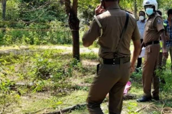 திருகோணமையில் பெரும் சோக சம்பவம்: யானையால் உயிரிழந்த நபர் | Trincomalee Elephant Attack Elderly Person Died