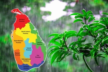 இன்றைய வானிலை தொடர்பான முன்னறிவிப்பு