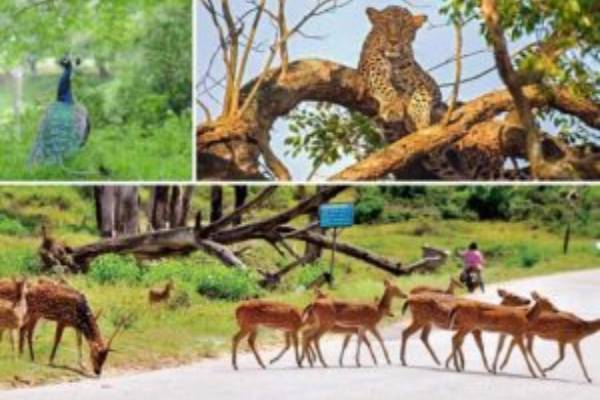 வெள்ளத்தால் பாதிக்கப்பட்ட வைத்தியசாலைகள் தொடர்பில் சுகாதார அமைச்சின் அறிவிப்பு | Ministry Health Regarding Flood Affected Hospitals