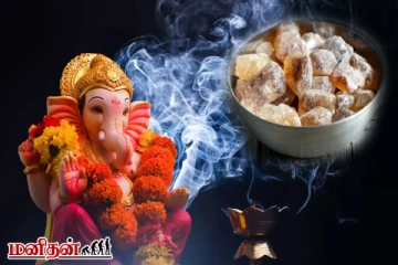 Ganesh Chaturthi: உங்கள் ராசி இதுவென்றால் - விநாயகருக்கு இதை வாங்கி கொடுங்க