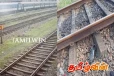 கொழும்பில் பாடசாலை மாணவர் தொடருந்தில் மோதி பலி