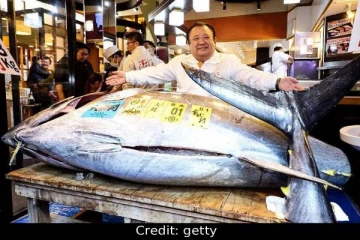 ரூ.28 கோடிக்கு வாங்கப்பட்ட ஒற்றை மீன் - அப்படி என்ன சிறப்பு?