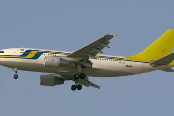 9 பேரை பலியெடுத்த விமான விபத்து; தெய்வாதீனமாக தப்பிய சிறுமி