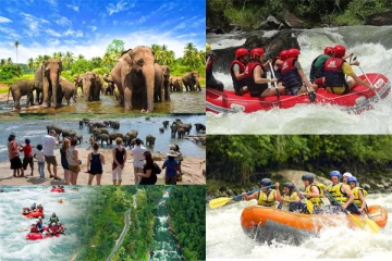 அவசர வேலைத்திட்டமொன்றை நடைமுறைப்படுத்த அரசு தீர்மானம்!