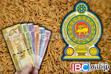நெல் கொள்வனவுக்காக விசேட கடன் - அரசின் மகிழ்ச்சி செய்தி