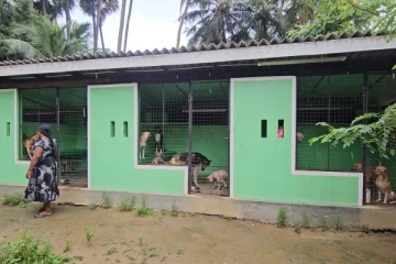 யாழ்ப்பாண குடும்பம் ஒன்றின் மனிதாபிமானம்!