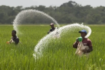உர இறக்குமதி தொடர்பில் விவசாய அமைச்சு விடுத்துள்ள கோரிக்கை