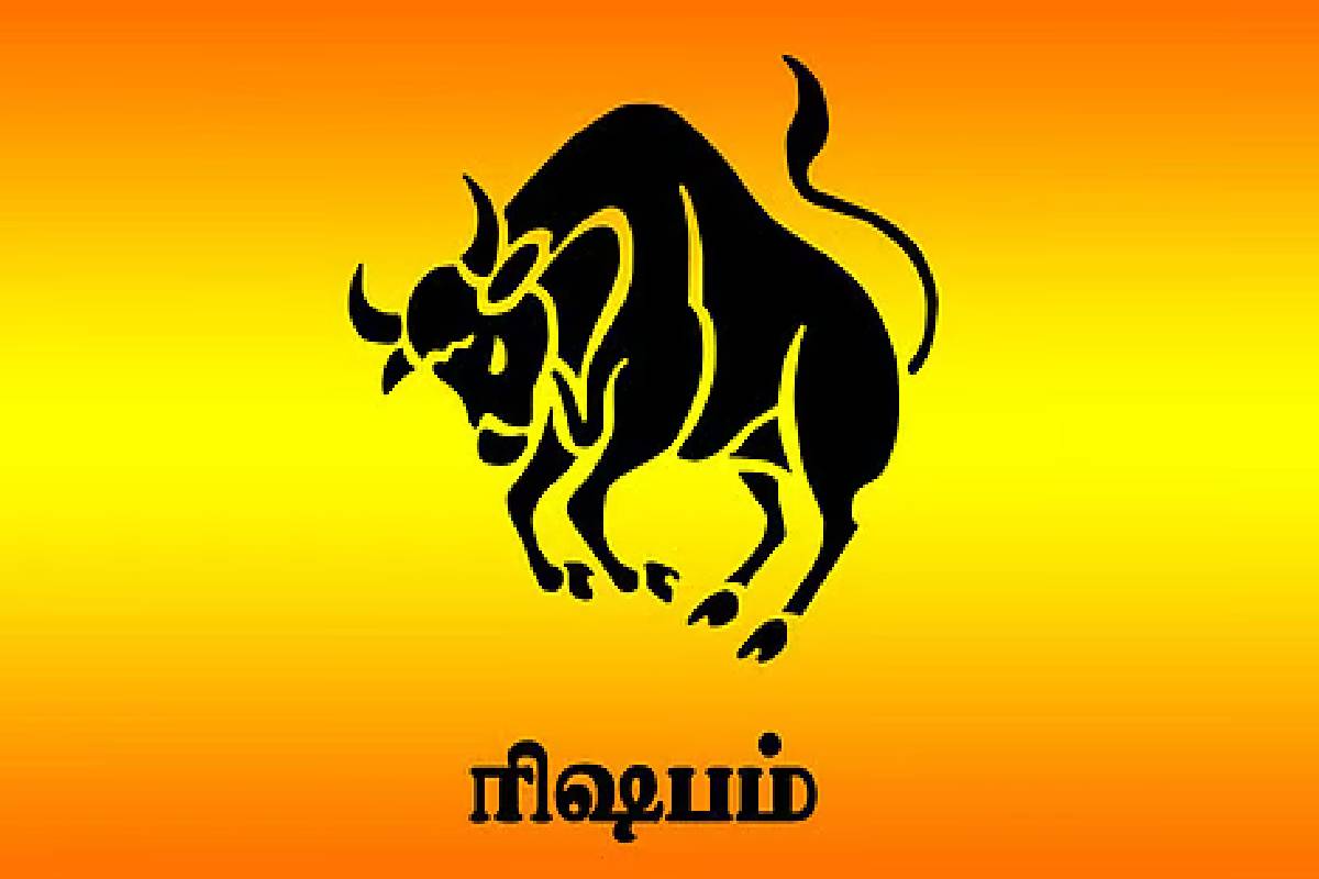 சுக்கிரன் நட்சத்திர பெயர்ச்சி : கோடிகளில் புரளப்போகும் 3 ராசிகள்! | Venus Transits Mrigashir Nakshatra Who Get Money சுக்கிரன் நட்சத்திர பெயர்ச்சி : கோடிகளில் புரளப்போகும் 3 ராசிகள்! | Venus Transits Mrigashir Nakshatra Who Get Money