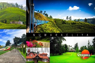 සති අන්තෙ නිවාඩුවට නුවරඑළියේ යනවා නම් මේ ගැනත් දැනුවත් වෙන්න