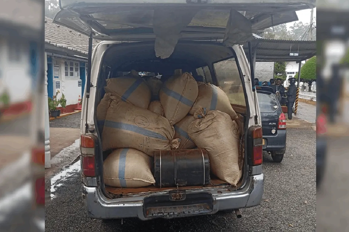 600 கிலோ கழிவு தேயிலைகளுடன் மூவர் கைது | Three Arrested With 600 Kg Of Waste Tea 600 கிலோ கழிவு தேயிலைகளுடன் மூவர் கைது | Three Arrested With 600 Kg Of Waste Tea