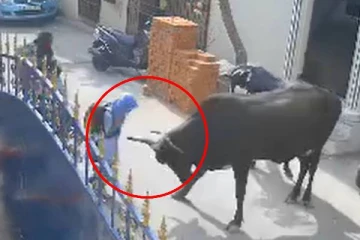 நடுவீதியில் தாயின் கண் முன்னே மகளுக்கு நேர்ந்த கொடூரம்! நெஞ்சை பதற வைக்கும் காட்சிகள் (Photos)