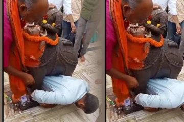 யானையின் அடியில் சிக்கிக்கொண்ட இளைஞர்! பரபரப்பான வீடியோ காட்சிகள்