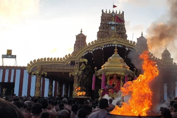 தங்க ரதத்தில் எழுந்தருளிய நல்லூர் கந்தன்(படங்கள்)