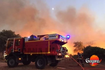 ප්‍රංශයේ වසර 80කට පසු දරුණු ලැව්ගිනි තත්ත්වයක්