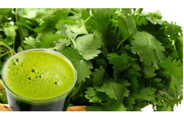 சர்க்கரை நோயை குணப்படுத்தும் கொத்தமல்லி! எப்படி சாப்பிட வேண்டும்? | Coriander Benfits For Dibetes