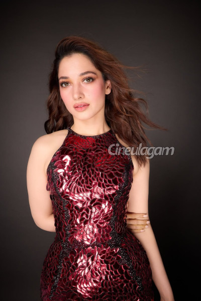 திருமணம் செய்து குழந்தைகளைப் பெறுவேன்.. தமன்னாவின் எதிர்பாராத பதில்! | Tamannaah Open Talk About Age Goes Viral