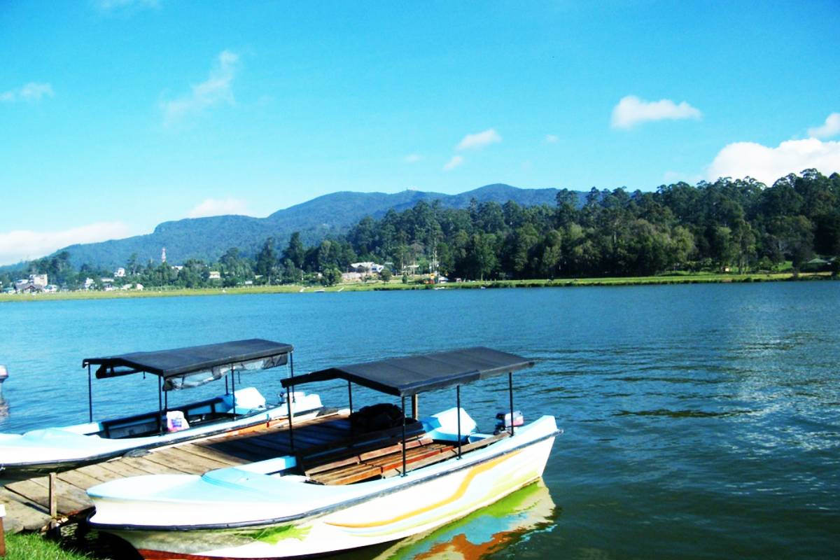 நுவரெலியாவில் சுற்றுலாப் படகு சேவையை ஒழுங்குபடுத்த நடவடிக்கை | Measures To Regulate Boat Service On Lake Gregory