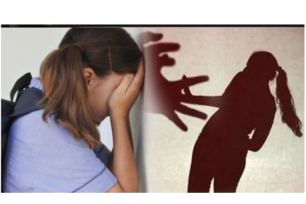 பழனியில் பரபரப்பு - 10-ம் வகுப்பு மாணவிக்கு பாலியல் தொல்லை கொடுத்த ஆசிரியர் கைது - தமிழ்நாடு