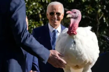 இரண்டு வான்கோழிகளுக்கு மன்னிப்பு வழங்கிய ஜோ பைடன்