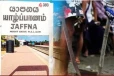 யாழில் நடுவீதியில் இளைஞனுக்கு நடத்தப்பட்ட கொடூரம்; வசமாக பிடிபட்ட சந்தேகநபர்கள்