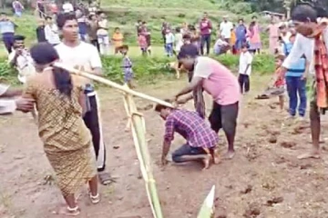 காதல் திருமணம் செய்தவர்களை மாடு போல் ஏரில் பூட்டி நிலத்தை உழச் செய்த கிராமத்தினர்