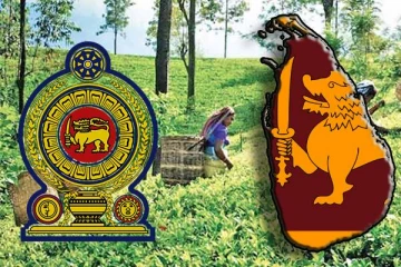 ஊழியர் சேமலாப நிதிய கொடுப்பனவுகளைச் செலுத்தத் தவறியுள்ள நிறுவனங்கள்!