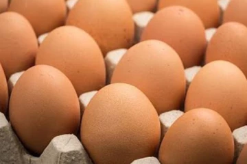 විශේෂ මිලකට අදත් බිත්තර - ලබාගත හැකි ස්ථාන මෙන්න..