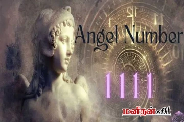 Angel Number: வருடத்தில் இந்த 11/11 ஏன் மிகவும் சக்தி வாய்ந்த நாளாக கருதப்படுகின்றது?