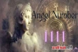 Angel Number:வருடத்தில் இந்த 11/11 ஏன் மிகவும் சக்தி வாய்ந்த நாளாக கருதப்படுகின்றது?