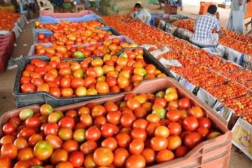 சென்னையில் மீண்டும் தக்காளி விலை அதிகரிப்பு - மக்கள் கவலை