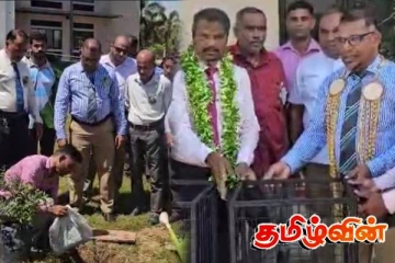 சம்மாந்துறையில் சர்வதேச சுற்றாடல் தினம் அனுஷ்டிப்பு