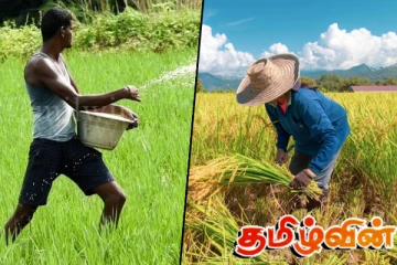 உரமானியம் வழங்குவதில் தாமதம்! விவசாய அமைப்புகள் கண்டனம்