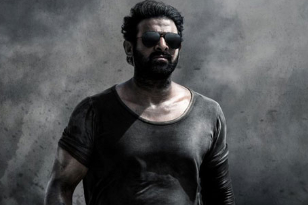 சலார் திரைப்படம் வெளிவந்து இரண்டு ஆண்டுகள்.. படத்தின் மொத்த வசூல் விவரம் இதோ | Salaar Movie Total Box Office Collection