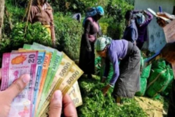 பெருந்தோட்டத் தொழிலாளர்களுக்கு வெளியான மகிழ்ச்சியான தகவல்!