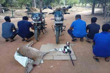 பூங்காவில் கர்ப்பிணி மானை கொல்ல முயன்ற ஐவர் கைது