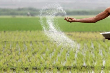 யாழ். மரக்கறி செய்கை விவசாயிகளுக்கு விவசாய கடன் முறைமை நடைமுறைப்படுத்த திட்டம்