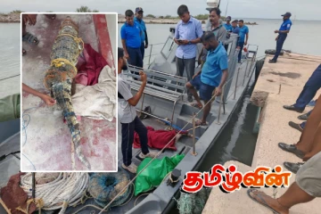 யாழ். நெடுந்தீவில் உயிருடன் மீட்கப்பட்ட முதலை