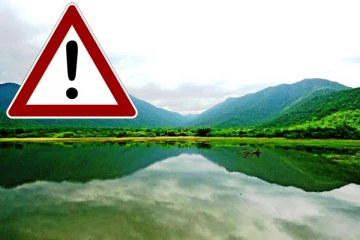 பணத்திற்காக கொடூர கொலை; இயக்குனர் பாக்யராஜ் அதிர்ச்சி! காவல்துறை சொல்வது என்ன?