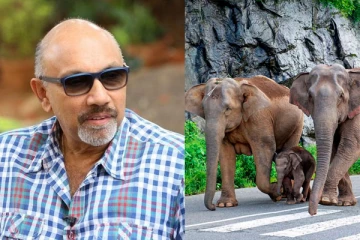 நடிகர் சத்யராஜின் தங்கை வீட்டுக்குள் புகுந்த காட்டு யானைகள்! பகீர் புகைப்படங்கள்