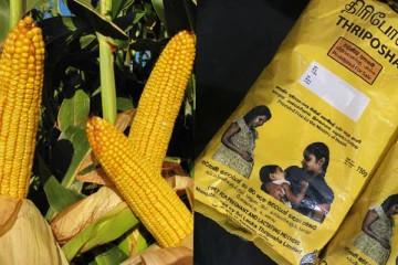 திரிபோஷாவில் இரசாயன விதிகளில் மாற்றம்: வெளியாகிய அதிர்ச்சி தகவல்